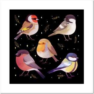 Cute European birds illustration Posters and Art